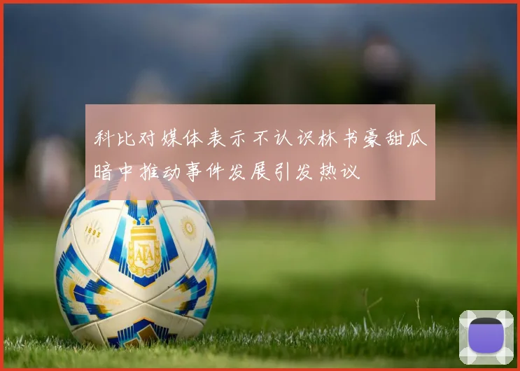 科比对媒体表示不认识林书豪甜瓜暗中推动事件发展引发热议
